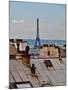 Rooftops of Paris-Marilyn Dunlap-Mounted Art Print