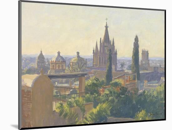 Rooftops of San Miguel Allende, 2005-Julian Barrow-Mounted Giclee Print