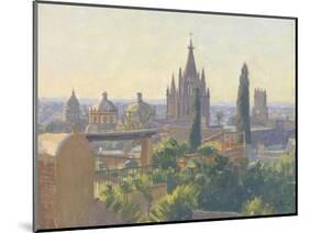 Rooftops of San Miguel Allende, 2005-Julian Barrow-Mounted Giclee Print