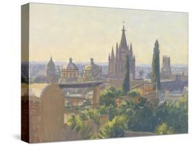 Rooftops of San Miguel Allende, 2005-Julian Barrow-Stretched Canvas