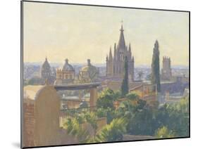 Rooftops of San Miguel Allende, 2005-Julian Barrow-Mounted Giclee Print