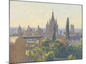 Rooftops of San Miguel Allende, 2005-Julian Barrow-Mounted Giclee Print