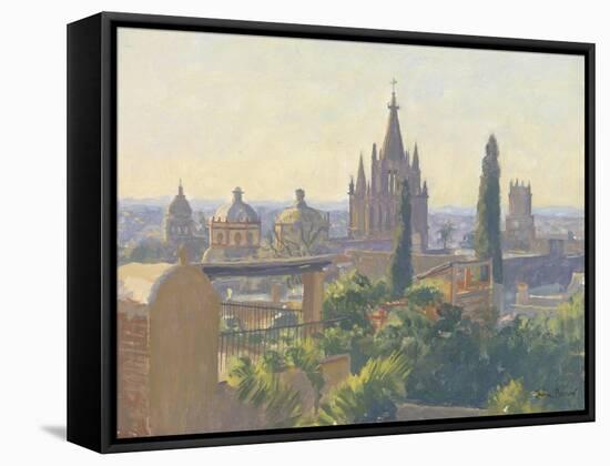 Rooftops of San Miguel Allende, 2005-Julian Barrow-Framed Stretched Canvas