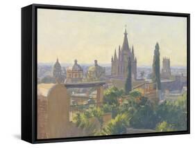 Rooftops of San Miguel Allende, 2005-Julian Barrow-Framed Stretched Canvas