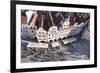 Rooftops, Old Town Square (Staromestske Namesti), Prague, Bohemia, Czech Republic, Europe-Markus Lange-Framed Photographic Print