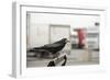 Rook (Corvus Frugilegus) Perched in Motorway Service Area, Midlands, UK, April-Terry Whittaker-Framed Photographic Print