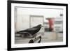 Rook (Corvus Frugilegus) Perched in Motorway Service Area, Midlands, UK, April-Terry Whittaker-Framed Photographic Print