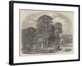 Rook-Shooting in Penshurst Park-null-Framed Giclee Print