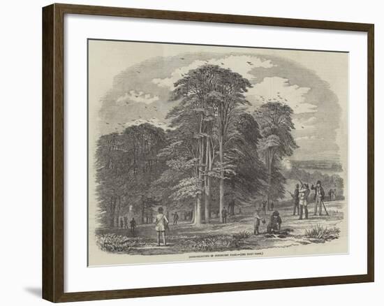 Rook-Shooting in Penshurst Park-null-Framed Giclee Print