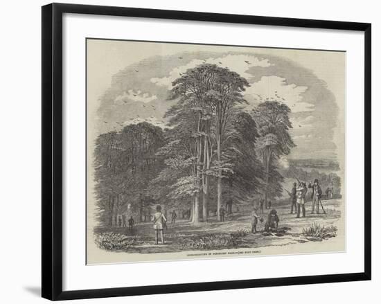 Rook-Shooting in Penshurst Park-null-Framed Giclee Print