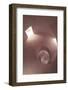 Room 2-Design Fabrikken-Framed Photographic Print