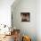 Room of Metamorphosis-Antonio Maria Viani-Giclee Print displayed on a wall