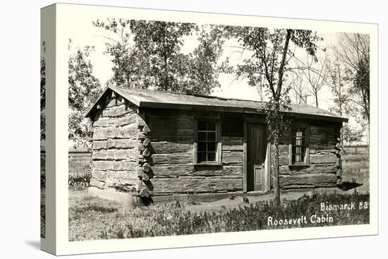 Roosevelt Cabin, Bismarck, North Dakota-null-Stretched Canvas