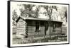 Roosevelt Cabin, Bismarck, North Dakota-null-Framed Stretched Canvas