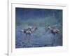 Roosevelt Elk Herd, Olympic National Park, Washington, USA-Steve Kazlowski-Framed Photographic Print