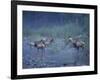 Roosevelt Elk Herd, Olympic National Park, Washington, USA-Steve Kazlowski-Framed Photographic Print