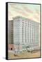 Roosevelt Hotel, New Orleans-null-Framed Stretched Canvas