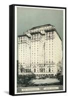Roosevelt Hotel, New York City-null-Framed Stretched Canvas