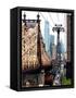 Roosevelt Island Tram and Ed Koch Queensboro Bridge (Queensbridge) Views, Manhattan, New York, US-Philippe Hugonnard-Framed Stretched Canvas