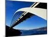 Roosevelt Lake Bridge, Arizona, USA-null-Mounted Photographic Print