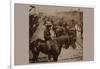 Roosevelt's "Rough Rider's" Arrival at Tampa, Fla., U.S.A.-null-Framed Art Print