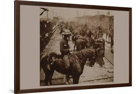 Roosevelt's "Rough Rider's" Arrival at Tampa, Fla., U.S.A.-null-Framed Art Print