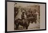 Roosevelt's "Rough Rider's" Arrival at Tampa, Fla., U.S.A.-null-Framed Art Print