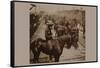 Roosevelt's "Rough Rider's" Arrival at Tampa, Fla., U.S.A.-null-Framed Stretched Canvas