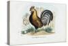 Rooster, 1863-79-Raimundo Petraroja-Stretched Canvas