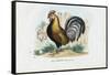 Rooster, 1863-79-Raimundo Petraroja-Framed Stretched Canvas