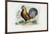 Rooster, 1863-79-Raimundo Petraroja-Framed Giclee Print