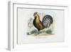 Rooster, 1863-79-Raimundo Petraroja-Framed Giclee Print