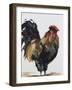 Rooster 1-Renee Gould-Framed Giclee Print