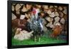 Rooster 2 Photo Art Print Poster-null-Framed Poster