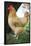Rooster 3 Photo Art Print Poster-null-Framed Poster