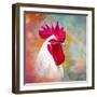 Rooster A1-Ata Alishahi-Framed Giclee Print