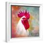 Rooster A1-Ata Alishahi-Framed Giclee Print