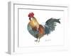 Rooster A-Marietta Cohen Art and Design-Framed Giclee Print