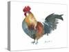 Rooster A-Marietta Cohen Art and Design-Stretched Canvas