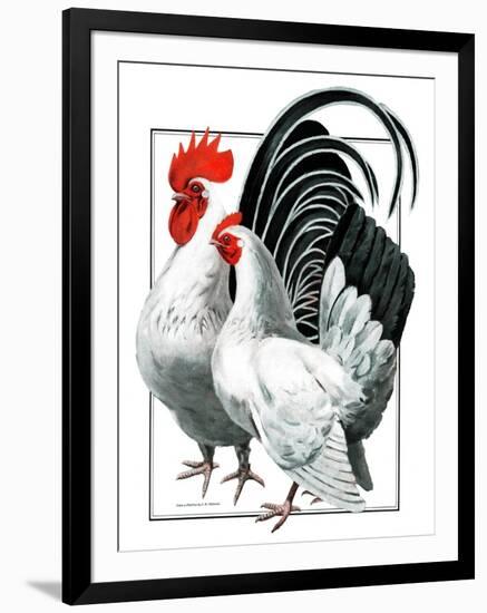 Rooster and Chicken-C.R. Patterson-Framed Giclee Print