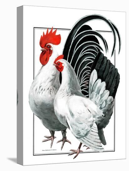 Rooster and Chicken-C.R. Patterson-Stretched Canvas