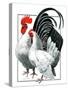 Rooster and Chicken-C.R. Patterson-Stretched Canvas