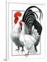 Rooster and Chicken-C.R. Patterson-Framed Giclee Print