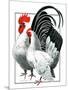 Rooster and Chicken-C.R. Patterson-Mounted Giclee Print