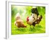 Rooster and Chickens. Free Range Cock and Hens-Subbotina Anna-Framed Photographic Print
