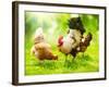 Rooster and Chickens. Free Range Cock and Hens-Subbotina Anna-Framed Photographic Print