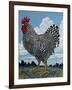 Rooster and Clouds-Barry Wilson-Framed Giclee Print