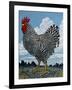 Rooster and Clouds-Barry Wilson-Framed Giclee Print