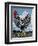 Rooster and Clouds-Barry Wilson-Framed Premium Giclee Print