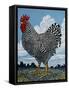 Rooster and Clouds-Barry Wilson-Framed Stretched Canvas